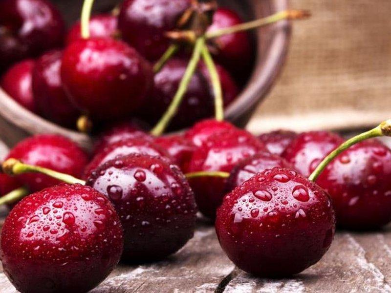 Вишня купить саженцы из питомника в Златоусте